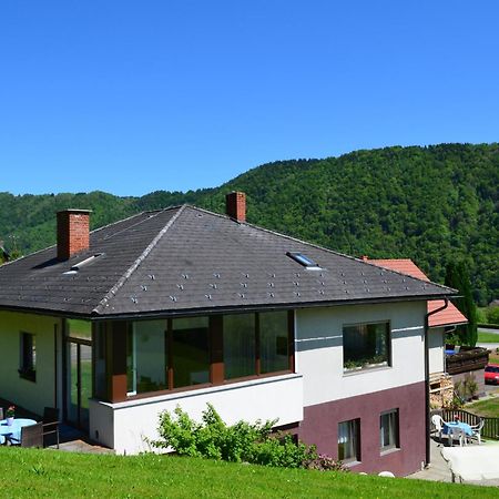 Haus Donaublick Appartement Engelhartszell Buitenkant foto
