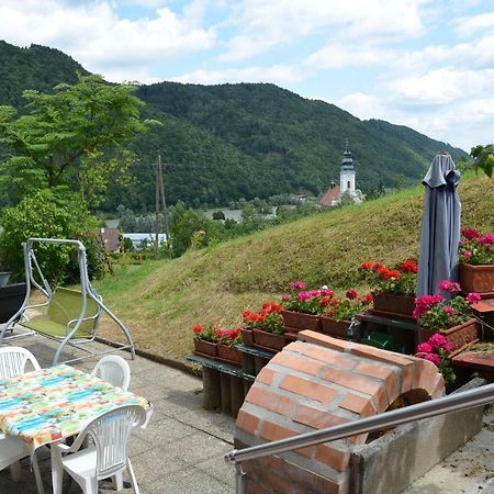 Haus Donaublick Appartement Engelhartszell Buitenkant foto
