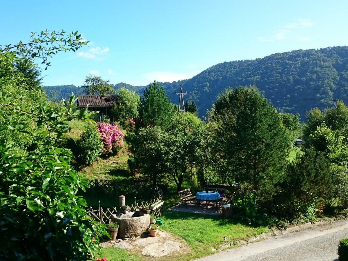 Haus Donaublick Appartement Engelhartszell Buitenkant foto